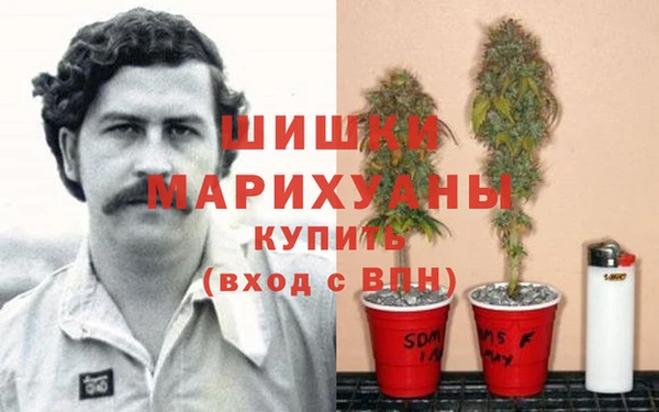 амф Абаза